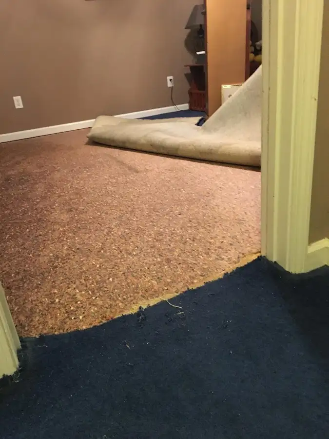 Carpet pad removal revealing water damage during Water Mitigation Services in Emporia